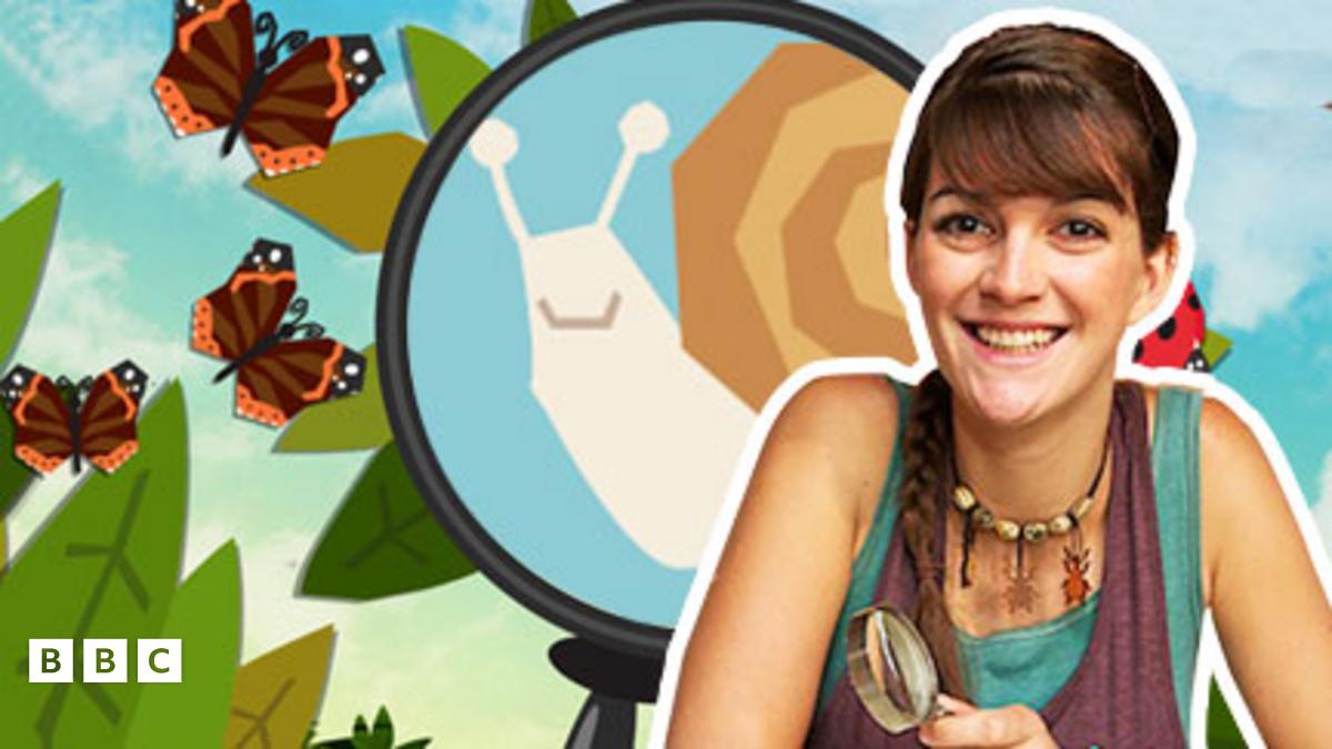  Minibeast Adventure with Jess - Minibeast Spotter