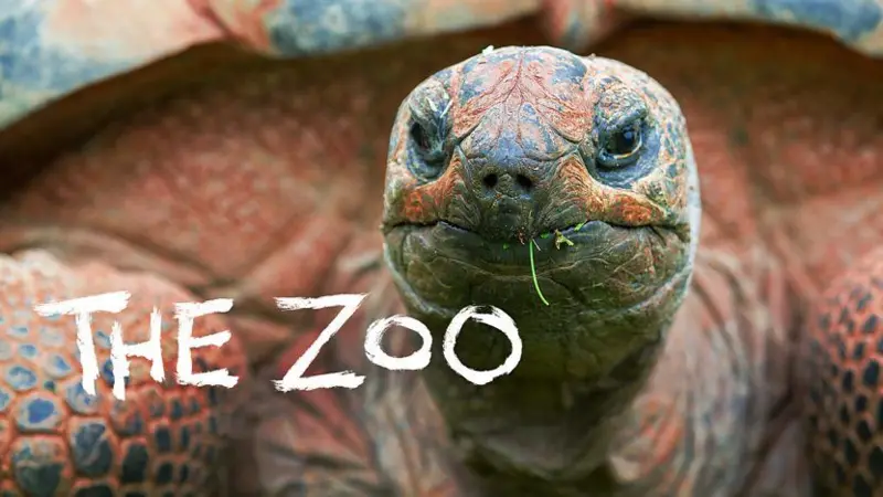CBBC The Zoo Episodes